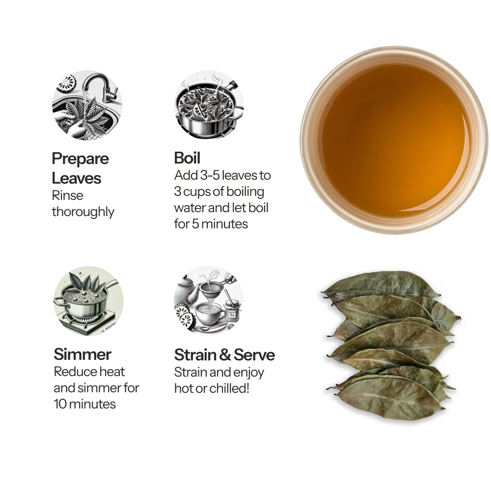 Soursop Leaves