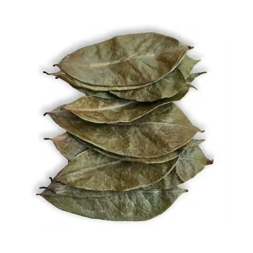 Soursop Leaves