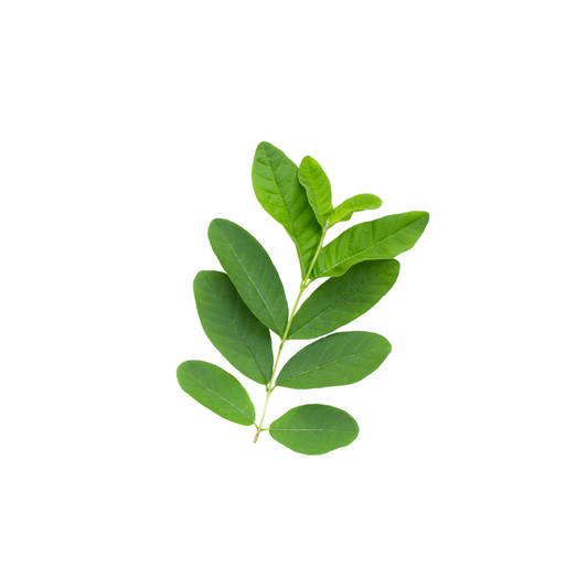 Guava Leaves - 100 Grams