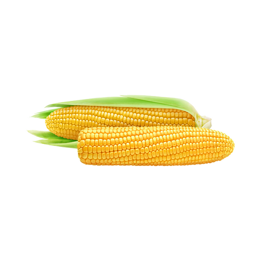 Yellow Maize Fresh - 1kg